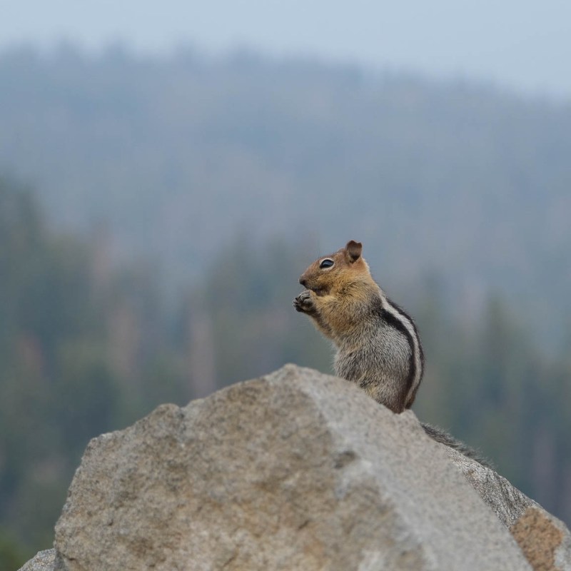 Jours 125 à&nbsp;129